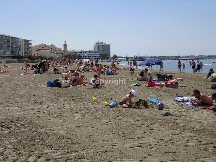 Le Tamaris Daire Saint-Laurent-dʼAigouze Dış mekan fotoğraf